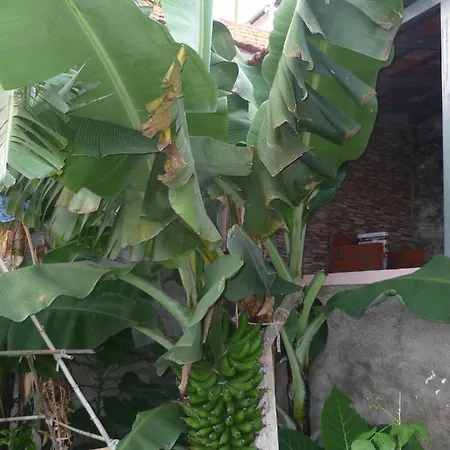 度假居 Louros House