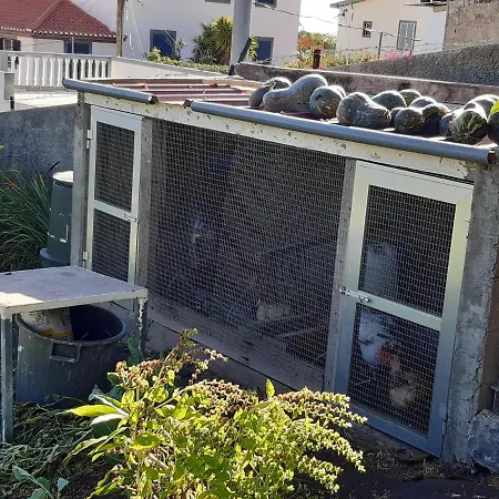 Prázdninový dům Louros House Funchal (Madeira)